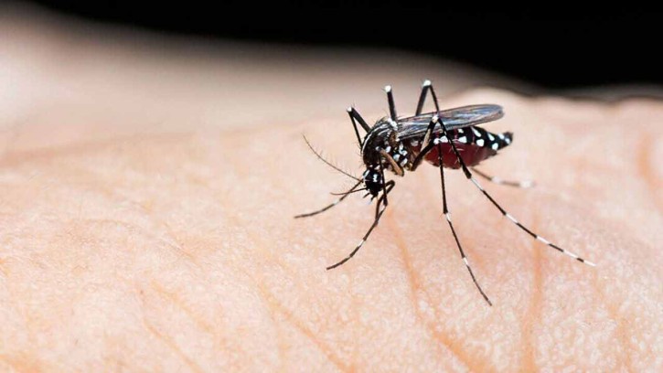 ডেঙ্গুতে ৪ জনের মৃত্যু, হাসপাতালে ভর্তি ৫৬৮