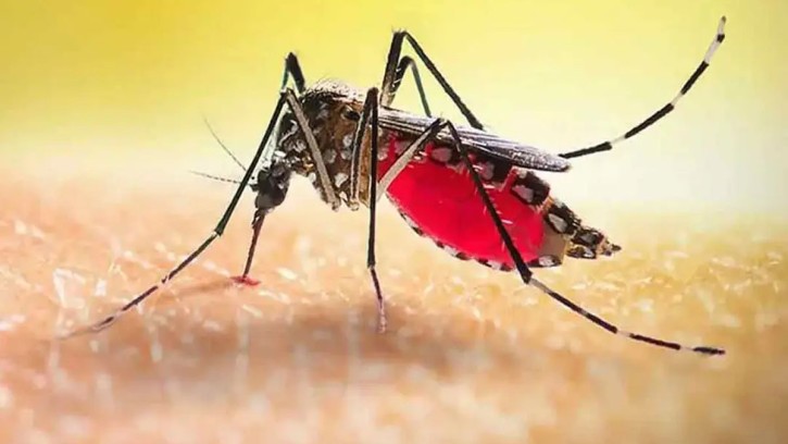  আরও ৪ জনের মৃত্যু: ডেঙ্গুতে আক্রান্ত এক লাখ ছাড়াল