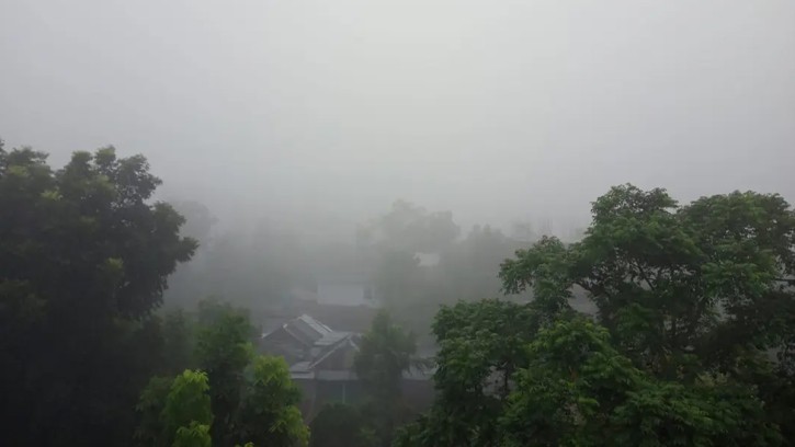 হঠাৎ ঘন কুয়াশায় ঢাকা পড়ল নীলফামারী