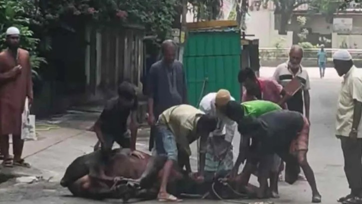 ঢাকায় ঈদের দ্বিতীয় দিনেও চলছে পশু কোরবানি