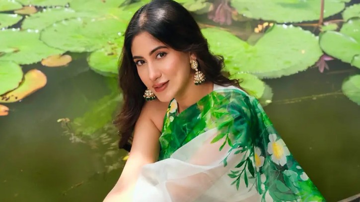 শেয়ালগুলো কাছে এসে চিৎকার করতো : সাফা কবির